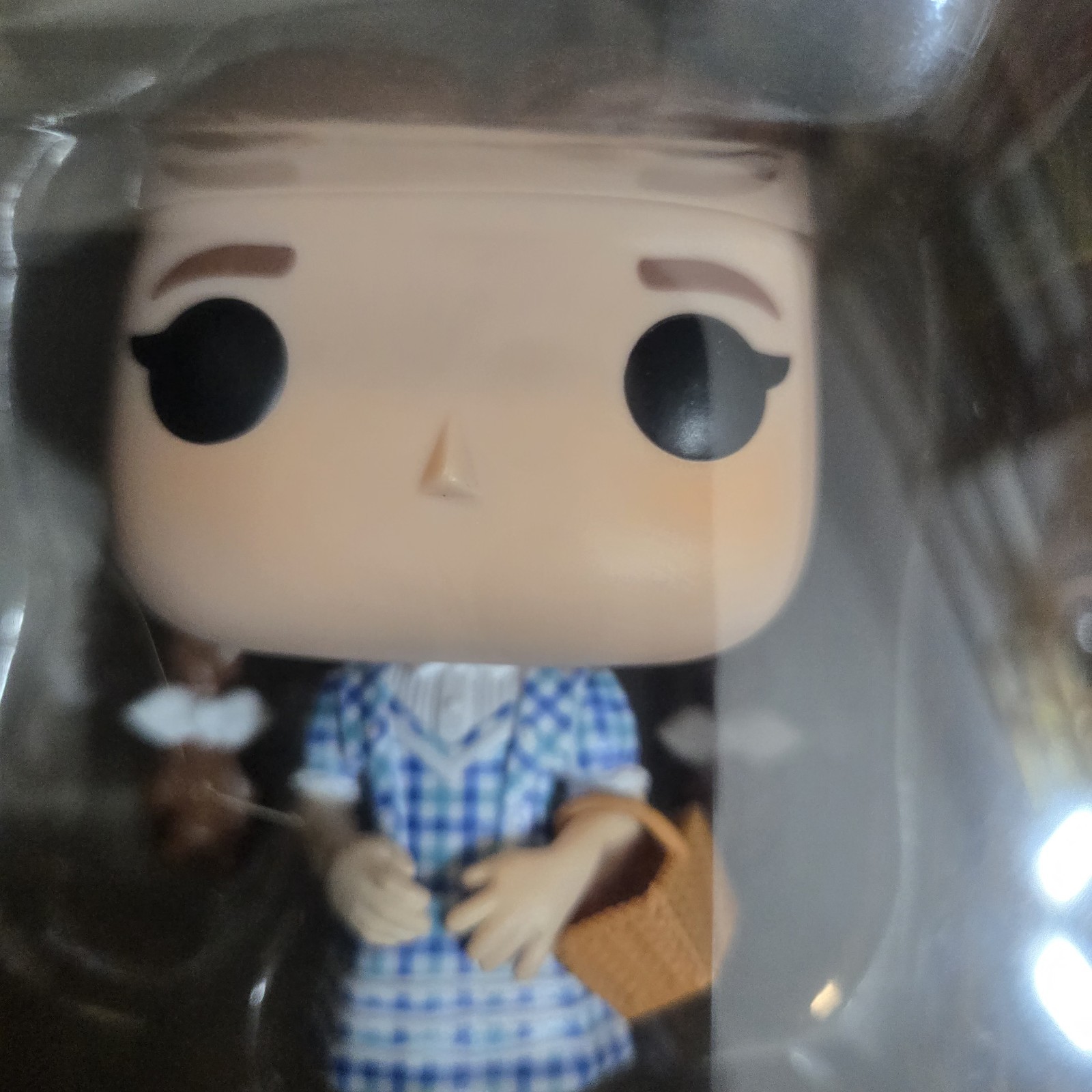 img_1771445363066_1-1.jpeg Funko Pop! Dorothy! Wicked Exclusive!. - Image 2
