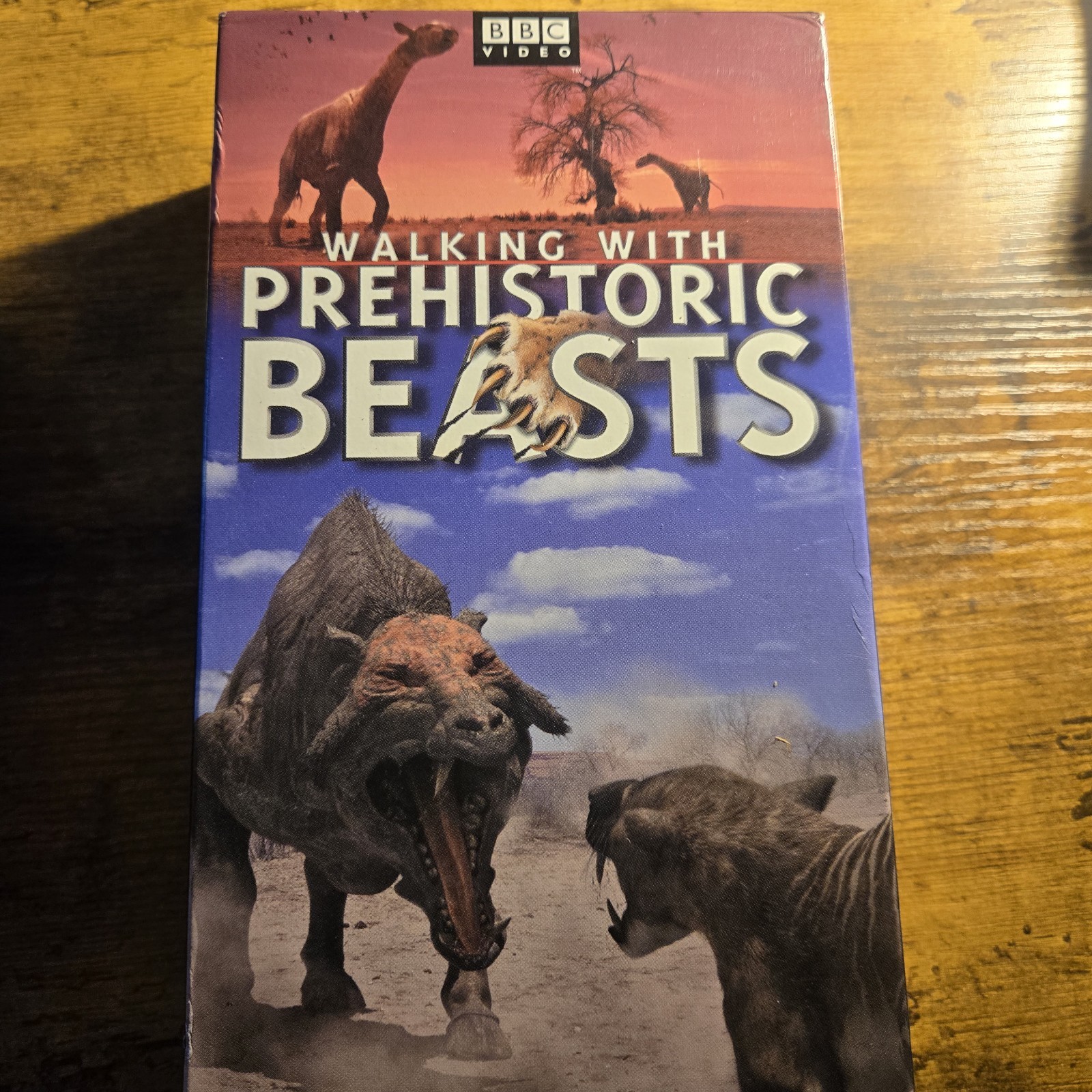 img 1772290733225 1 1.jpeg img 1772290733225 1 1.jpeg