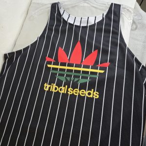 img 1772343334283 0 1.jpeg