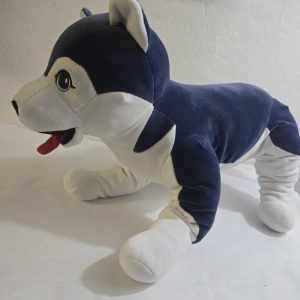 img 1772349760434 0 1.jpeg